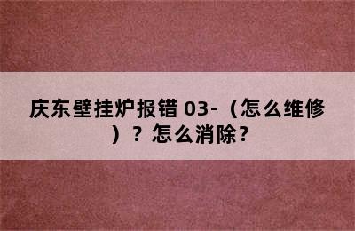 庆东壁挂炉报错 03-（怎么维修）？怎么消除？